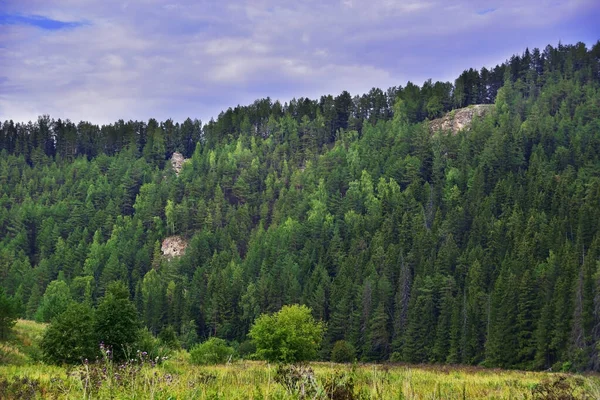 The rocky outcrops of Mount Vakutin stone, when viewed from the bottom of the Irgina River valley from the Shypitsino tract, are hidden by the forest and are practically invisible.