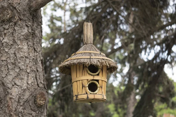 Handgemachtes Vogelhaus aus Stroh hängt an Fichte — Stockfoto
