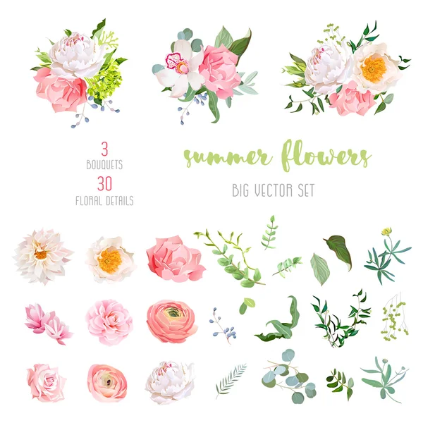 Ranunculus, rose, pivoine, dahlia, camélia, œillet, orchidée, hy — Image vectorielle