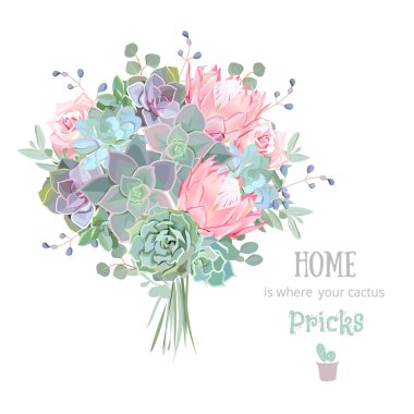 Yeşil renkli succulents tasarım kümesi vektör. Echeveria, protea, 