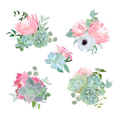Stylish small bouquets of succulents, protea, rose, anemone, ech clipart