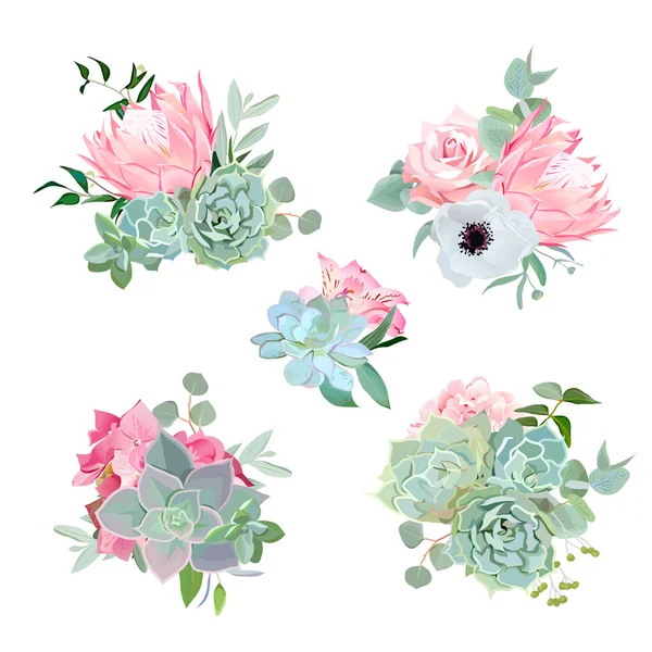 Elegantes ramos pequeños de suculentas, protea, rosa, anémona, ech — Vector de stock