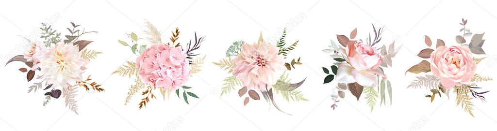 Luxurious beige trendy vector design floral bouquets. Pastel pink rose, blush, creamy dahlia, hydrangea, dusty ranunculus, pampas grass, eucalyptus. Wedding decoration. Isolated and editable