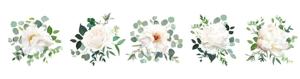 Ivoor beige, witte en romige roos, pioen bloemen vector ontwerp bruiloft boeketten — Stockvector