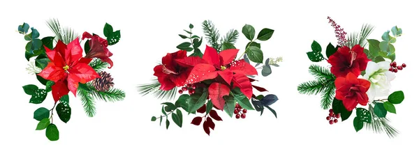 Feliz Navidad flores vector ramos conjunto — Vector de stock