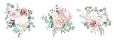 Soluk pembe kamelya, tozlu gül, fildişi beyaz şakayık, allık protea, çıplak pembe ranunculus.