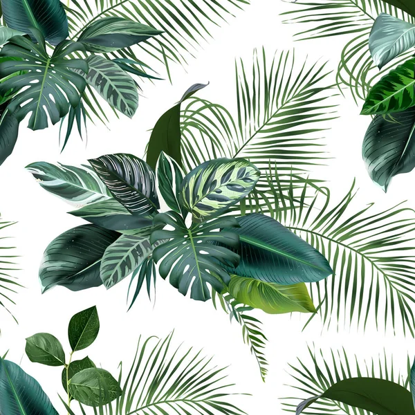 Тропічна зелень друкує з екзотичними листям долоні, калатеєю, монстрою, соленою — стоковий вектор