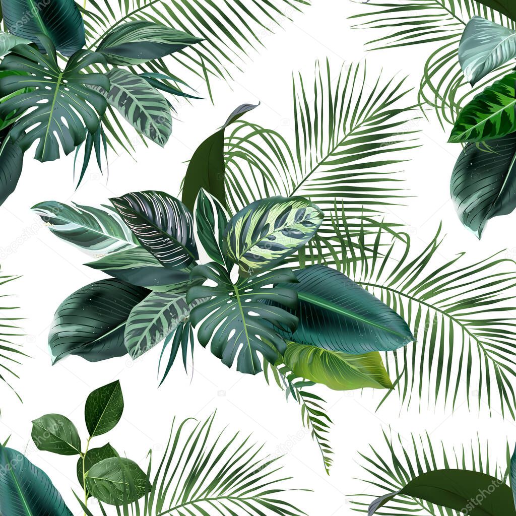Tropical greenery print with exotic palm leaves, calathea, monstera, salal