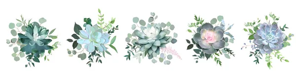 緑のカラフルな多肉植物の花束ベクトルデザインオブジェクト — ストックベクタ