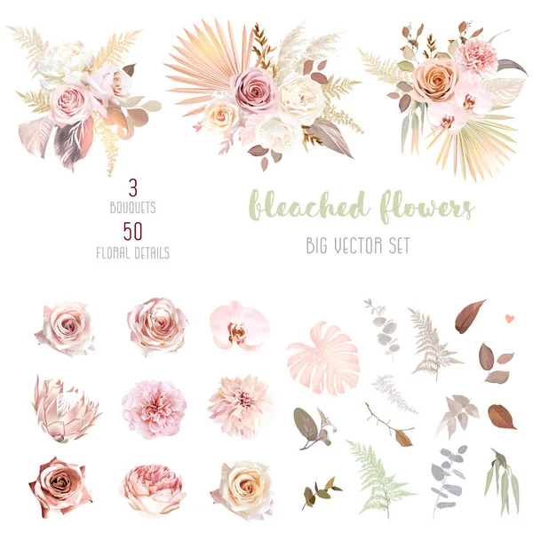 Trendy dried palm leaves, blush pink and rust rose, pale protea, white ranunculus — Stock Vector