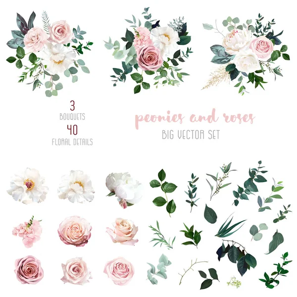 Weiße Pfingstrosen, rote und staubige rosa Rosen, blühende Freesien, Eukalyptus, Salal, Pampasgras — Stockvektor