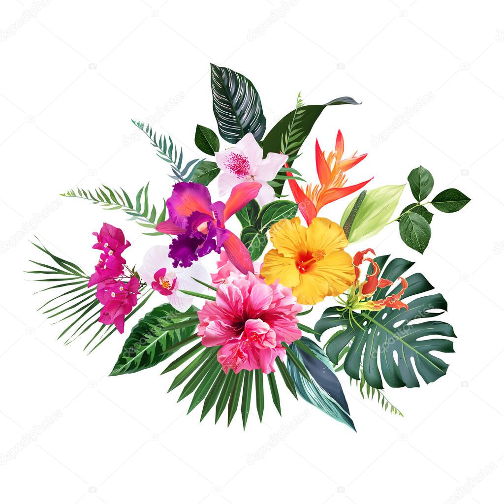 Exotic tropical flowers, orchid, strelitzia, hibiscus, bougainvillea, gloriosa, palm