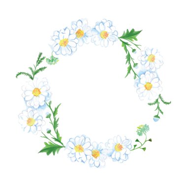 Beyaz çayır papatya vektör tasarım çerçeve