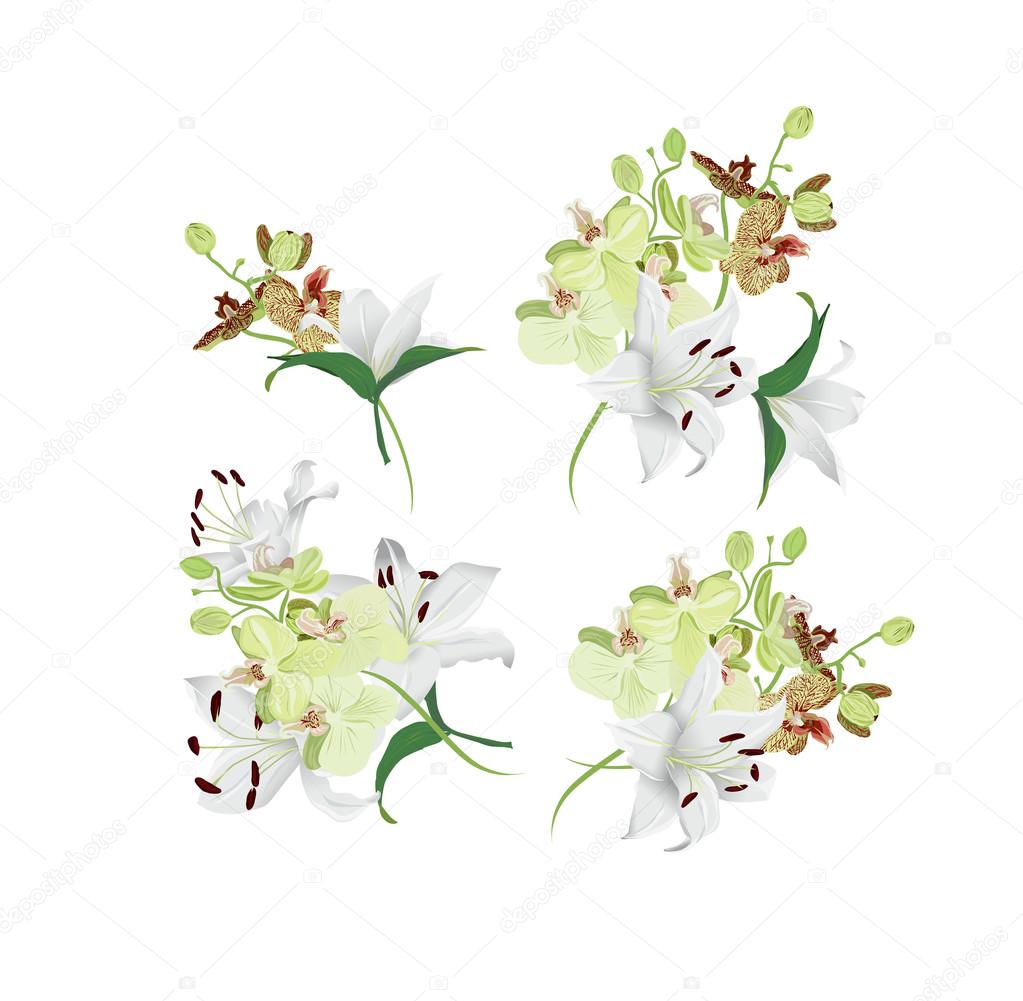 Lilies and orchids bouquet vector design elements