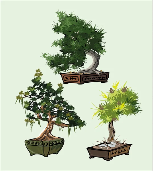 Bonsai stromy sada — Stockový vektor