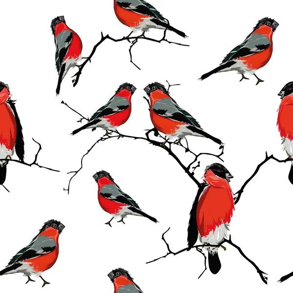 Bullfinches en el patrón sin costuras rama — Vector de stock