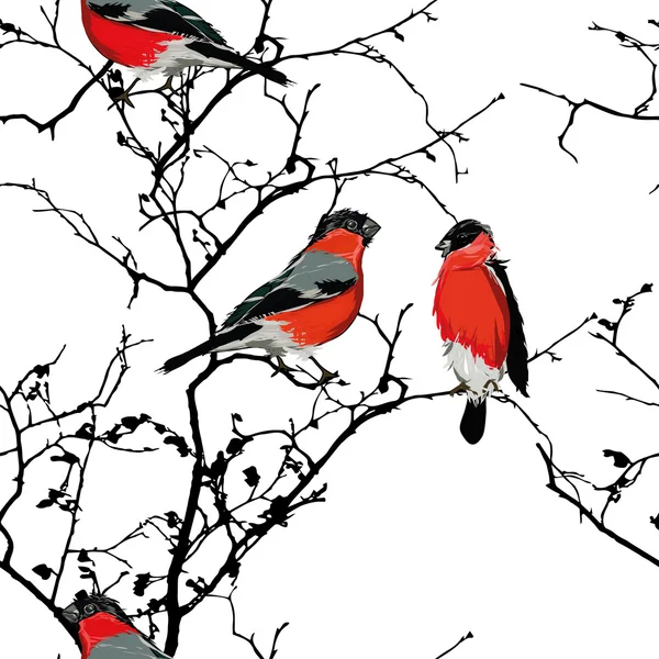 Bullfinches en el patrón sin costuras rama — Archivo Imágenes Vectoriales