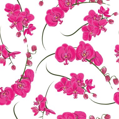 Pembe orkide seamless modeli