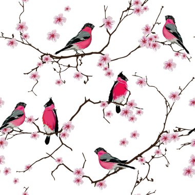 Sakura şube Dikişsiz desen, Eps10 dosya bullfinches