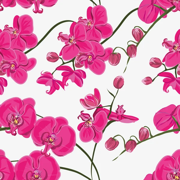 Pink orchid seamless pattern — Stock Vector