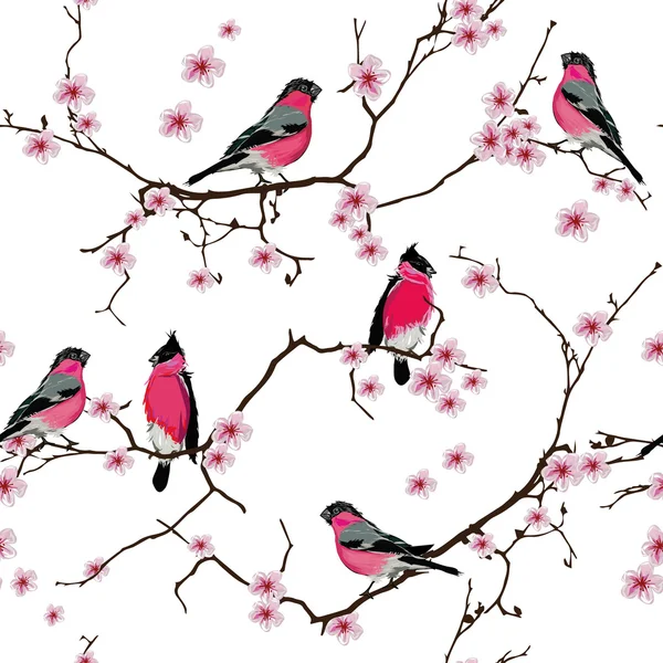 Bullfinches en el patrón sin costuras rama sakura, archivo EPS10 — Vector de stock