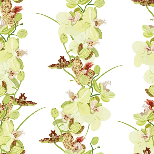 Patrón sin costura de orquídea verde — Vector de stock