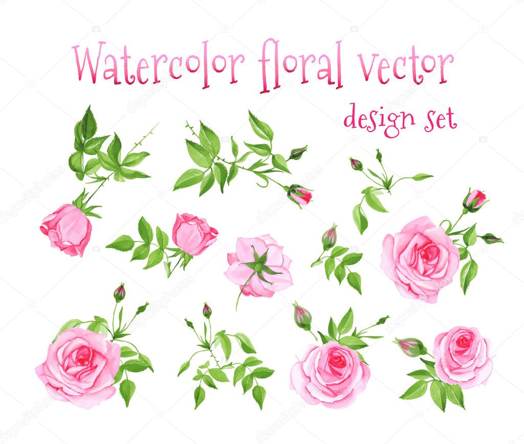 Watercolor pink roses vintage vector design set