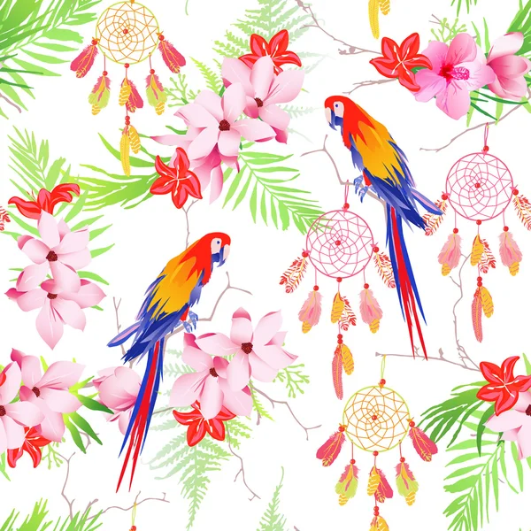 Bosque tropical loros dreamcatchers transparente vectoriales e impresión — Vector de stock