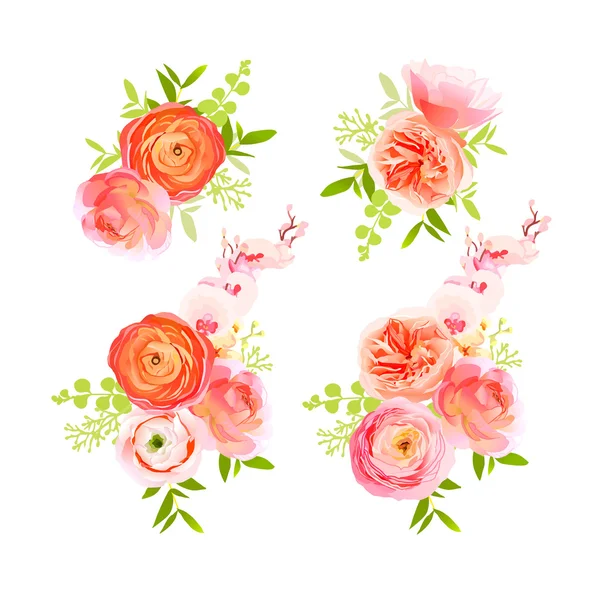 Bouquets de roses pêche, ranunculus et herbes vectorielles design eleme — Image vectorielle