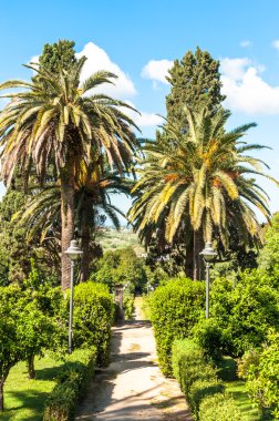 Monserrato parkta bahar sassari İtalya
