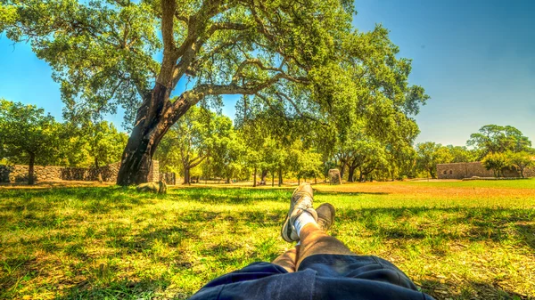 Entspannen im Park — Stockfoto
