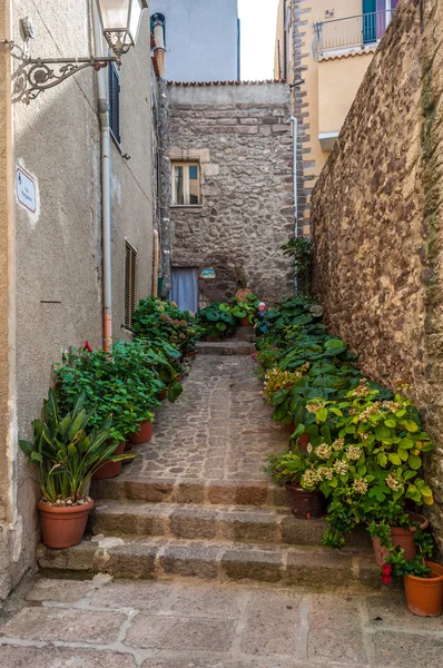 The beautiful alley of castelsardo old city — Stock Photo, Image