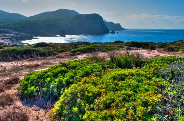 Krajina pobřeží Sardinie - zálivu porticciolo — Stock fotografie