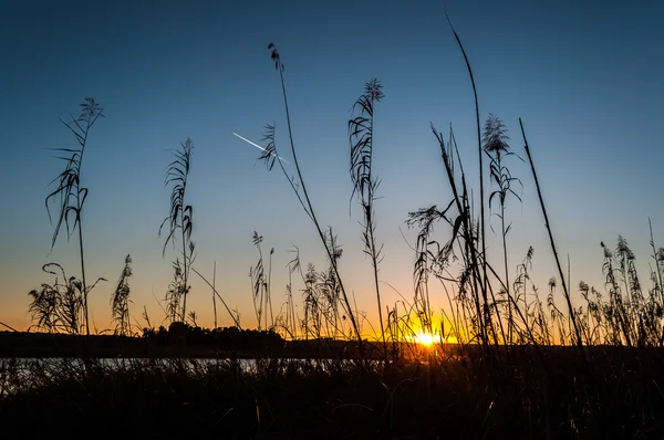 Sonnenuntergang am Teich in Sardinen — Stockfoto