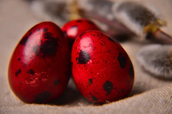 Easter eggs in nest on rustic wooden planks — Stock Photo, Image