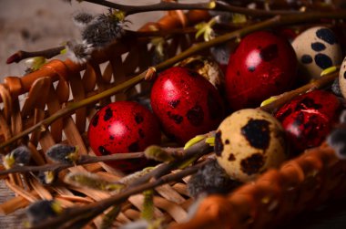 Bıldırcın yumurtaları masada.