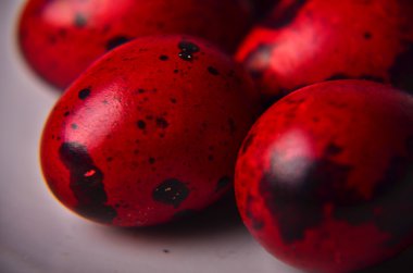 Bıldırcın yumurtası ile plaka. Kırmızı bıldırcın yumurtası