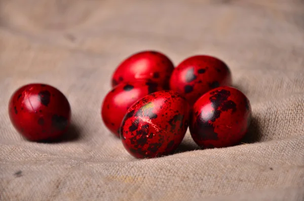 Colorful Easter eggs. Painted quail eggs on white wooden background. — Stock Photo, Image