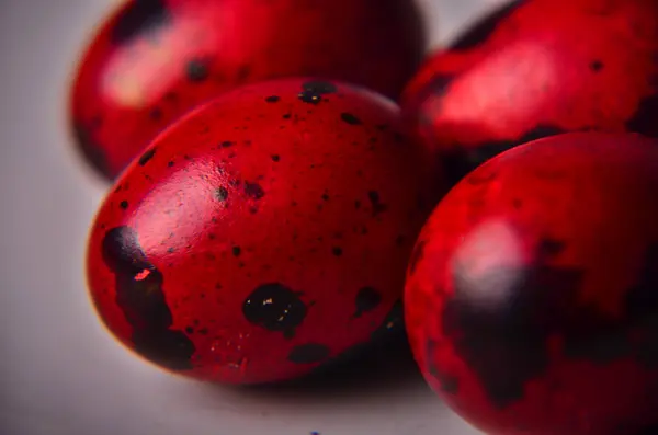 Plate with quail eggs . red  quail eggs — Stock Photo, Image