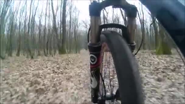 Andar en bicicleta por el sendero forestal. Un ciclista de montaña extremo acelera un carril bici en el bosque durante el día — Vídeos de Stock