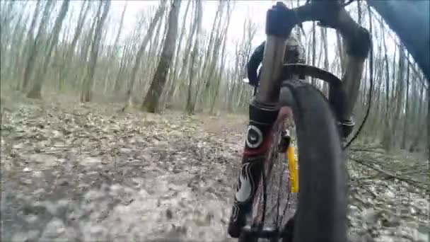 Andar de bicicleta na trilha da floresta. Um motociclista de montanha extrema acelera uma trilha de bicicleta na floresta durante o dia — Vídeo de Stock