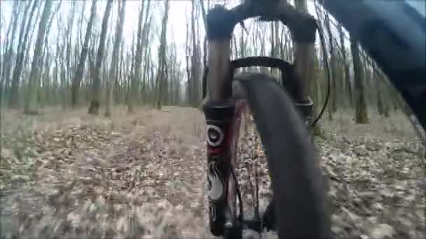 Andar de bicicleta na trilha da floresta. Um motociclista de montanha extrema acelera uma trilha de bicicleta na floresta durante o dia — Vídeo de Stock