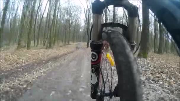 Andar en bicicleta por el sendero forestal. Un ciclista de montaña extremo acelera un carril bici en el bosque durante el día — Vídeos de Stock