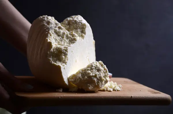 Котедж. натуральний сир у страві — стокове фото