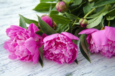 Beyaz ahşap arka planda pembe şakayıklar