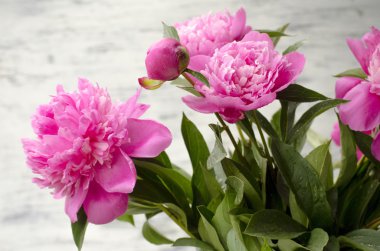 Pembe şakayık çiçekleri beyaz vintage ahşap zemin üzerinde. Alan, doygunluğu azaltılmış renkler kopyalayın. Düğün, hediye kartı, Sevgililer günü veya anneler günü arka plan