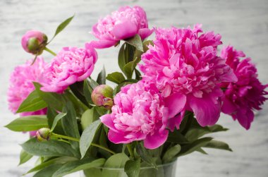 Pembe şakayık çiçekleri beyaz vintage ahşap zemin üzerinde. Alan, doygunluğu azaltılmış renkler kopyalayın. Düğün, hediye kartı, Sevgililer günü veya anneler günü arka plan