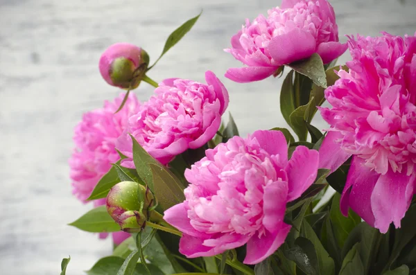 Pembe şakayık çiçekleri beyaz vintage ahşap zemin üzerinde. Alan, doygunluğu azaltılmış renkler kopyalayın. Düğün, hediye kartı, Sevgililer günü veya anneler günü arka plan