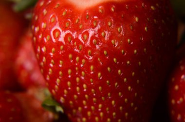 Çilek doku makro fotoğraf. Alan sığ derinliği ile vurdu.