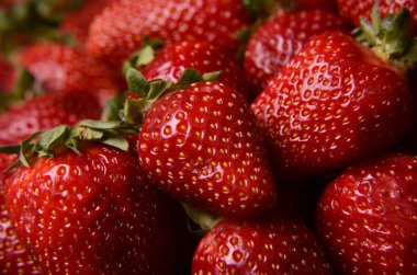 Çok fazla kırmızı olgun çilek - gıda arka plan